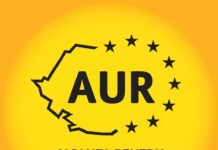 Proiect AUR pentru depolitizarea ANRE: Sectorul energetic nu mai poate fi condus de persoane fără pregătire tehnică ionelia priescu deputata aur proiect anre experti tehnici energie