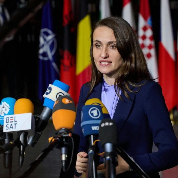 oana toiu declaratii ministrii psd delegatii internationale neconfirmate