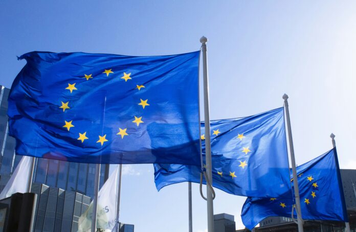 Uniunea Europeana anul romaniei europene propunere legislativa USR PNL parlament 2027 zona euro