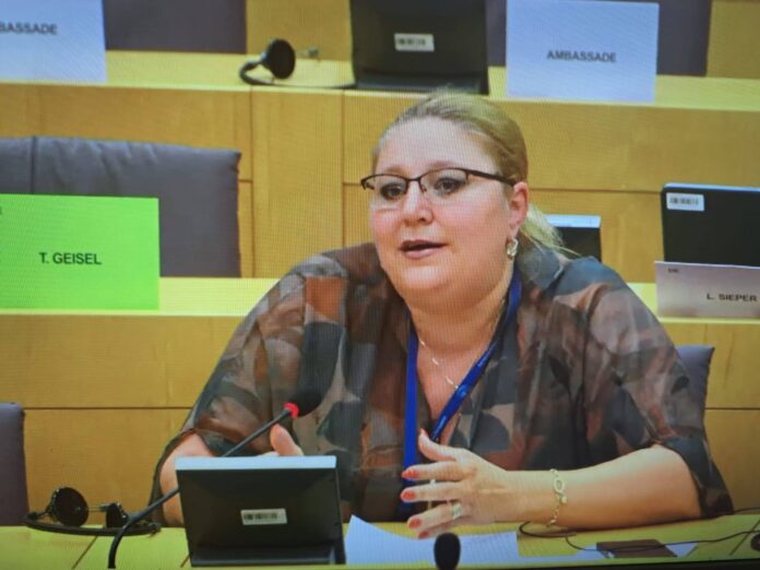 Poză stock Diana Șoșoacă