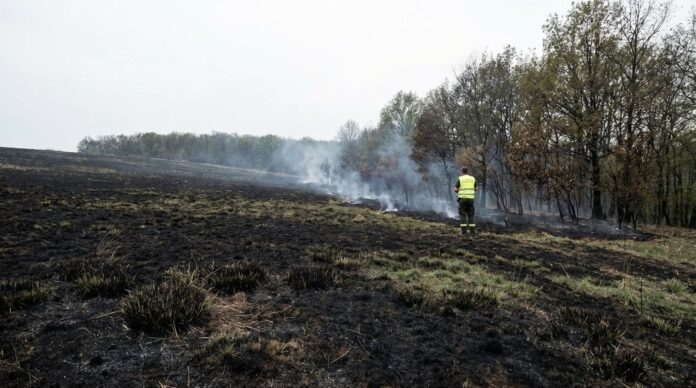 Naistul Viorel Papuc pe scena festivalului Florile Ceahlaului Neamt