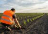 România schimbă regulile pentru muncitorii din afara UE. Ce presupune acest lucru forta de munca muncitori non-UE platforma digitala OUG Romania angajare