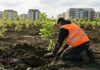 Aproape 200.000 de arbori plantați în Galați: patru păduri urbane finanțate prin PNRR Plantare arbori paduri urbane Galati proiect PNRR zona bulevard