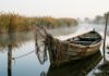 Prohibiție scrumbie în Delta Dunării de marți: șanse slabe să fie prinsă de Paște Pescari pe Dunare cu plase prohibitie scrumbie Delta Dunarii