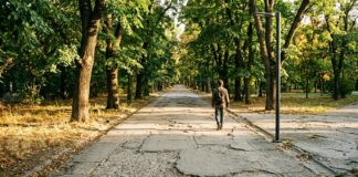 Parcul Circului va fi modernizat dacă CGMB aprobă cererea Sectorului 2 bucuresti-ilfov pib pe cap locuitor clasament european ue