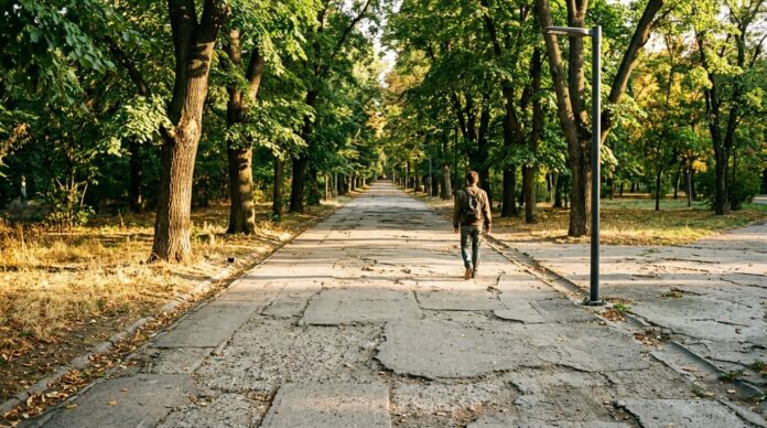 Parcul Circului Bucuresti alei degradate lucrari reabilitare iluminat