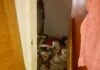 FOTO Zeci de câini salvați dintr-un apartament din Capitală. În ce condiții erau ținuți protectia animalelor caini salvati apartament bucuresti politia capitalei
