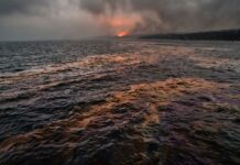 Atac cu drone ucrainene asupra unei rafinării ruseşti: scurgere pe 10.000 m în Marea Neagră atac cu drone rafinarie rosneft tuapse incendiu poluare marea neagra