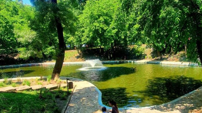 parcul kiseleff consultare publica sectorul 1 spatii verzi