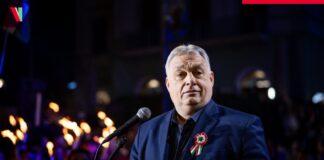 Rețea de conturi false din Nigeria, activată pro-Orbán pe X viktor orban demisie fidesz congres partid ungaria