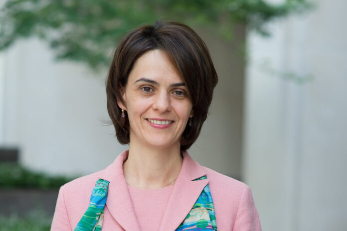 delia velculescu delia velculescu economist fmi premier tehnocrat romania consultari