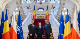 Nicușor Dan, întâlnire cu Rutte și Nawrocki înaintea Summitului B9 de la București. S-a discutat despre acțiunile Rusiei Nicusor Dan in cadrul unei intalniri bilaterale, asezat la masa, gesticuland in timpul discutiei. Costum inchis, cravata verde. Interlocutor vizibil partial. Aranjament floral pe masa, cadru instituti