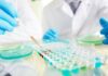 Caz confirmat de hantavirus în România: pacientul din Arad este internat sub supraveghere hantavirus romania confirmare insp pacient arad rozatoare ancheta epidemiologica