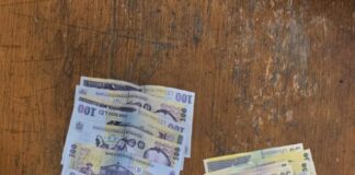 Mită de aproape 8.000 lei oferită jandarmilor în Mamaia. A fost sesizată Direcția Generală Anticorupție