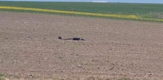 UPDATE VIDEO Alertă la granița cu Ucraina: Dronă descoperită pe un câmp în județul Suceava aparat de zbor drona descoperita teren agricol Suceava granita Ucraina