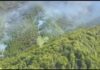 VIDEO Incendiu de proporții în Slatina-Timiș: peste 45 de pompieri și un elicopter Black Hawk intervin pe 20 de hectare de pădure și pășune incendiu puternic vegetatie slatina-timis pompieri militari elicopter black hawk interventie
