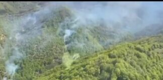 VIDEO Incendiu de proporții în Slatina-Timiș: peste 45 de pompieri și un elicopter Black Hawk intervin pe 20 de hectare de pădure și pășune incendiu puternic vegetatie slatina-timis pompieri militari elicopter black hawk interventie