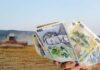 Avertisment al mediului de afaceri: fiecare săptămână fără guvern costă România miliarde criza politica Romania concordia avertisment miliarde fonduri europene guvern