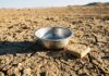 Un milion de copii afgani fără hrană: PAM a strâns doar 8% din fonduri copii in afganistan malnutritie programul alimentar mondial ajutor umanitar 2025