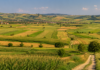 Pentru o agricultură mai eficientă, mai bine organizată și mai aproape de piață editorial emil dumitru