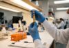 Hantavirus în România: 15 cazuri în 4 ani, risc scăzut hantavirus in romania cazuri insp risc rozatoare preventie