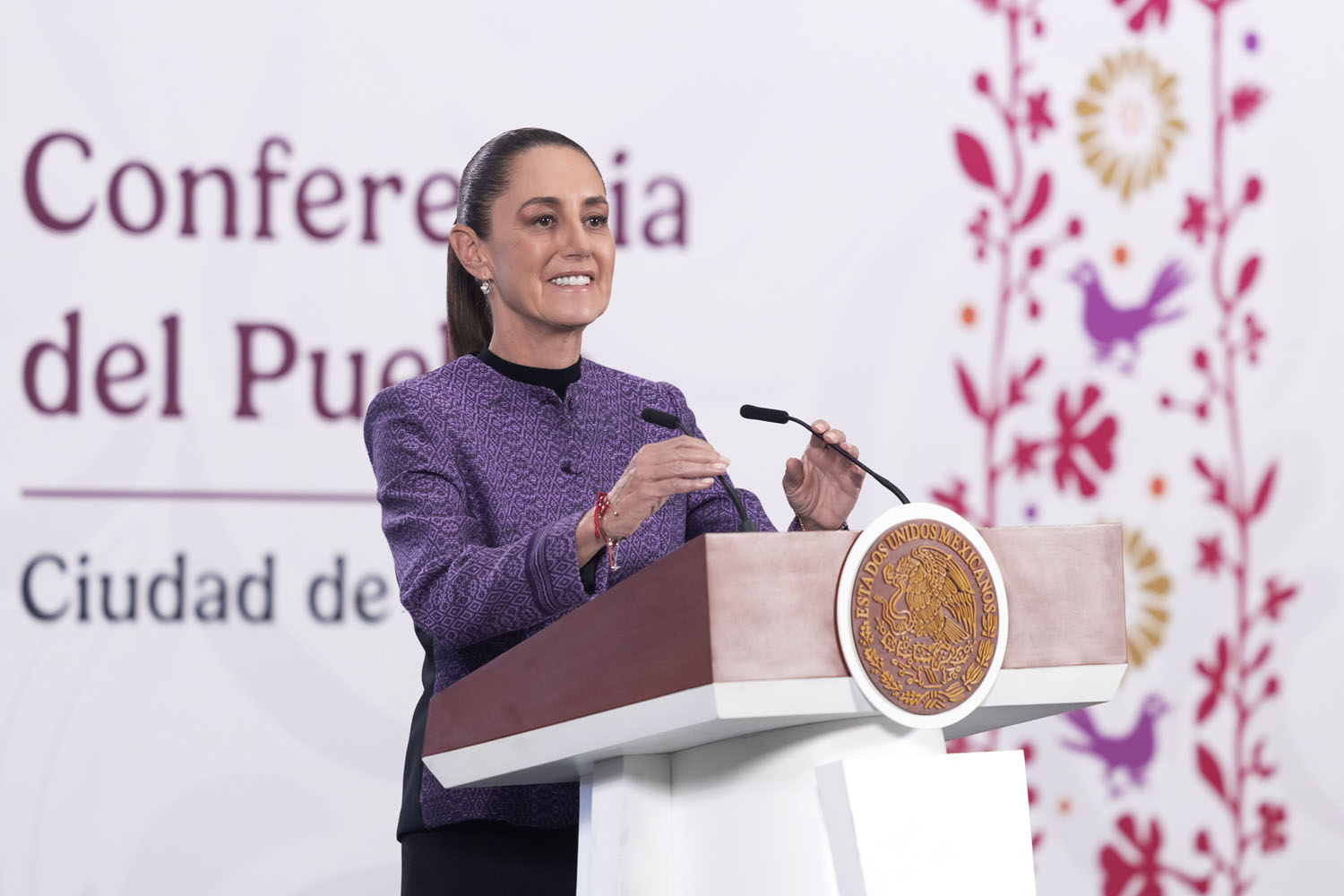 Claudia Sheinbaum - Profil de președinte